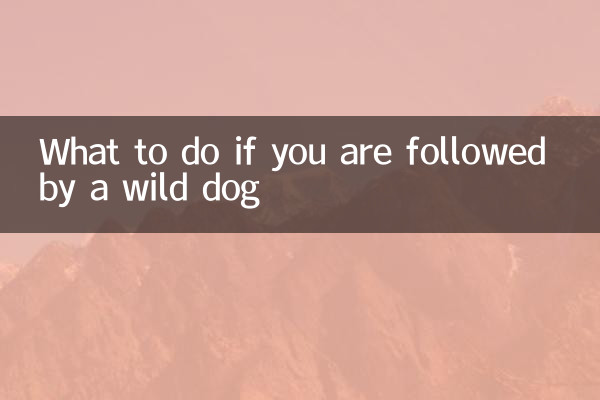 Was tun, wenn Sie von einem wilden Hund folgen?