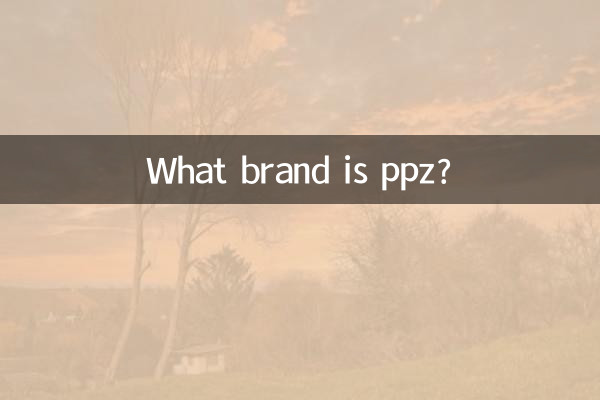 پی پی زیڈ کون سا برانڈ ہے؟
