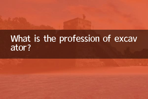 Qual è la professione dell'escavatore?