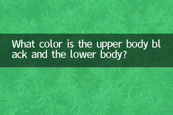 Di che colore è la parte superiore del corpo nera e la parte inferiore del corpo?