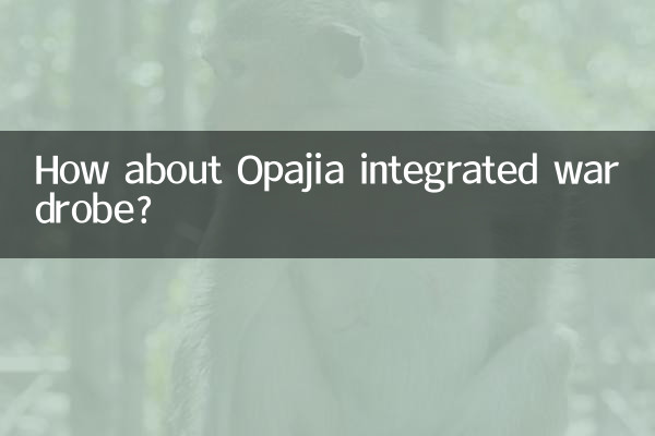 Как насчет встроенного шкафа Opajia?