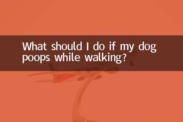犬が散歩中にうんちをした場合はどうすればよいですか？
