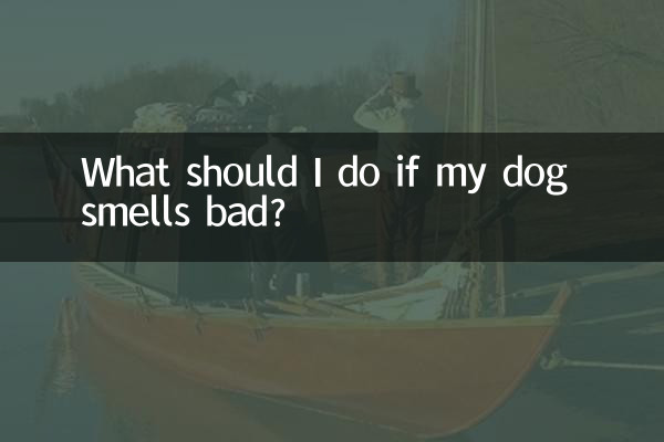 What should I do if my dog ​​smells bad?