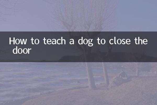 Comment apprendre à un chien à fermer la porte