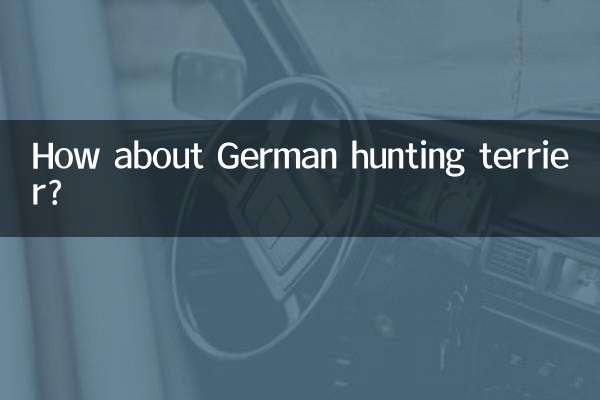 जर्मन शिकार टेरियर के बारे में क्या ख्याल है?