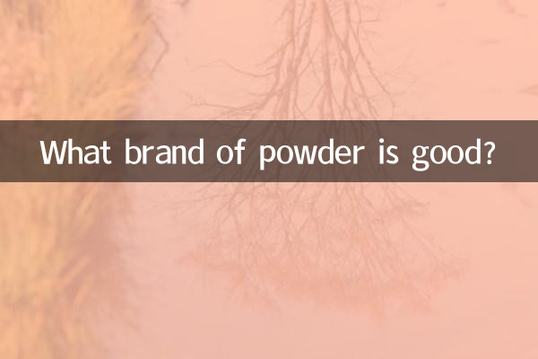 پاؤڈر کا کون سا برانڈ اچھا ہے؟