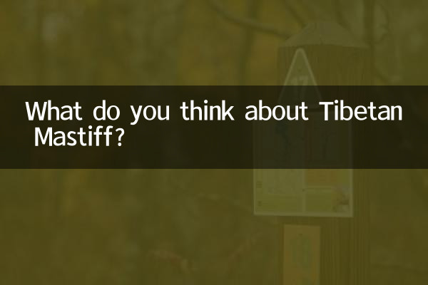 Que pensez-vous du Dogue du Tibet ?