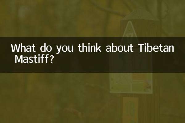 藏獒怎麼看好不好