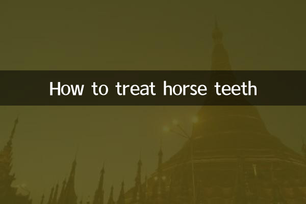馬の歯の治療方法