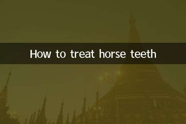 馬の歯の治療方法