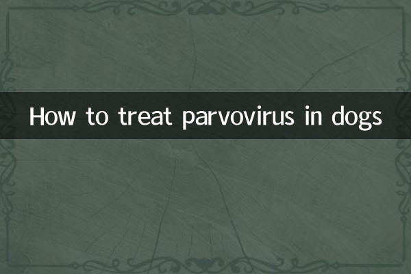 Comment traiter le parvovirus chez le chien