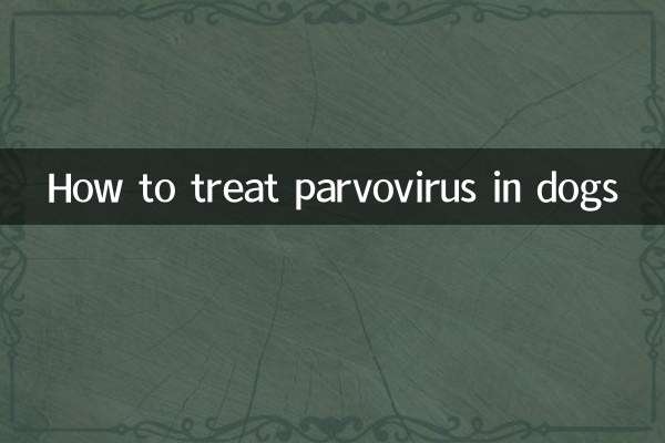 Comment traiter le parvovirus chez le chien