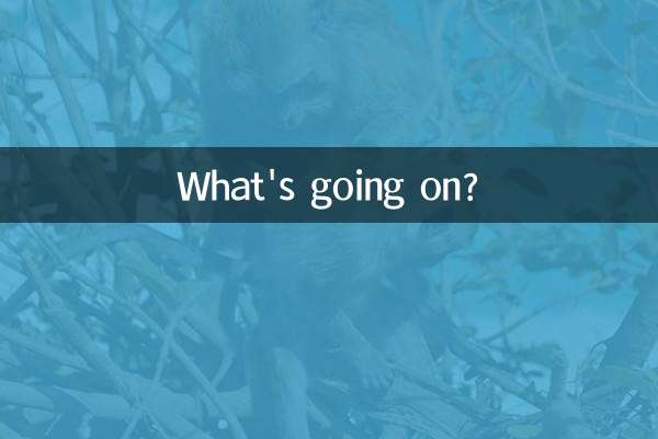 針の目はどうしたの？