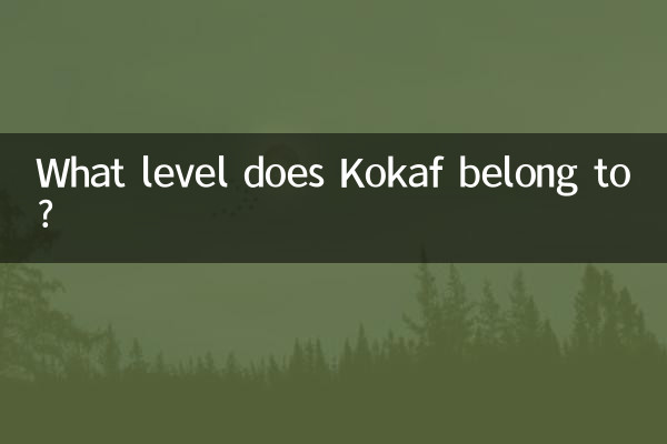 К какому уровню относится Кокаф?