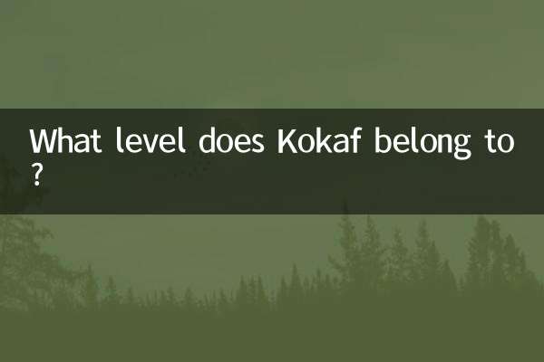 A quel niveau appartient Kokaf ?