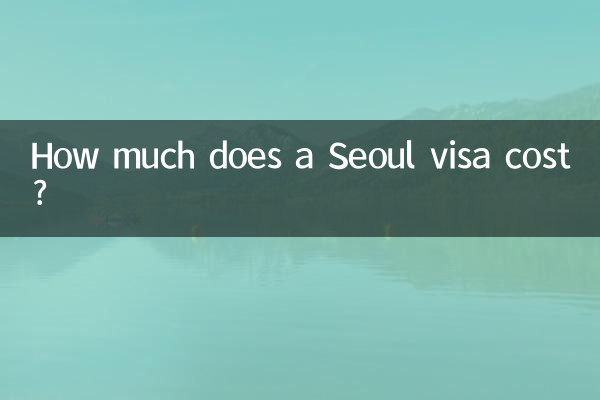 সিউল ভিসার খরচ কত?