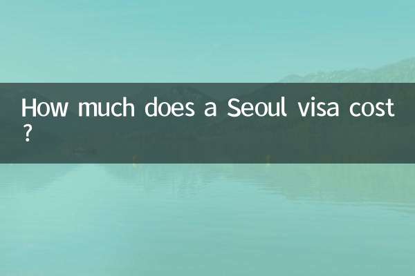 সিউল ভিসার খরচ কত?
