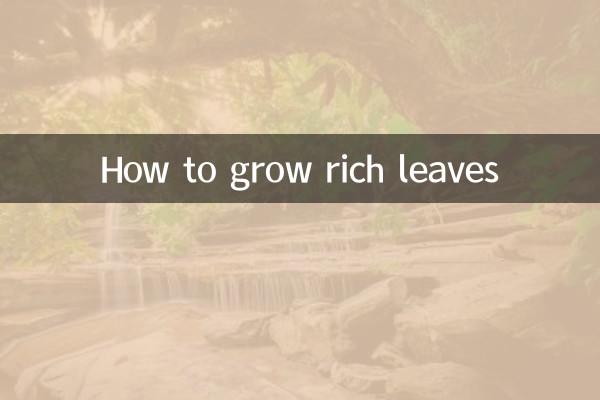 豊かな葉の育て方