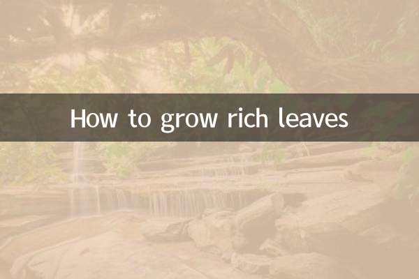 কিভাবে সমৃদ্ধ পাতা হত্তয়া