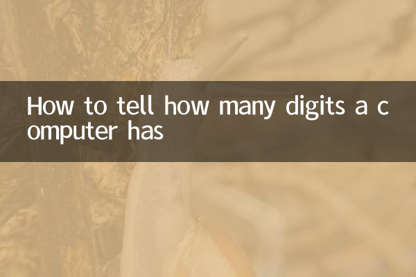 نحوه تشخیص تعداد رقم های یک کامپیوتر