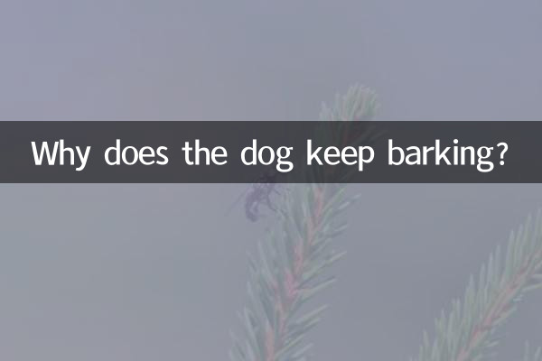 狗狗总是叫是怎么回事