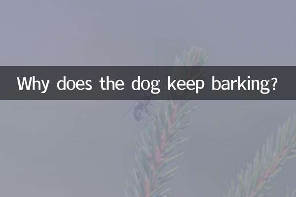 狗狗总是叫是怎么回事