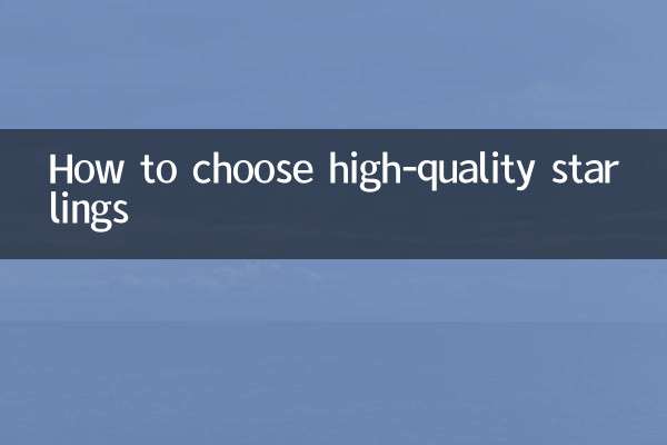 Comment choisir des étourneaux de haute qualité