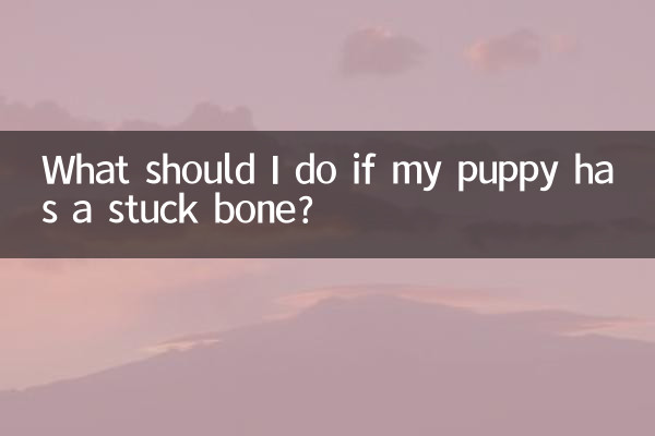 Что делать, если у моего щенка застряла кость?