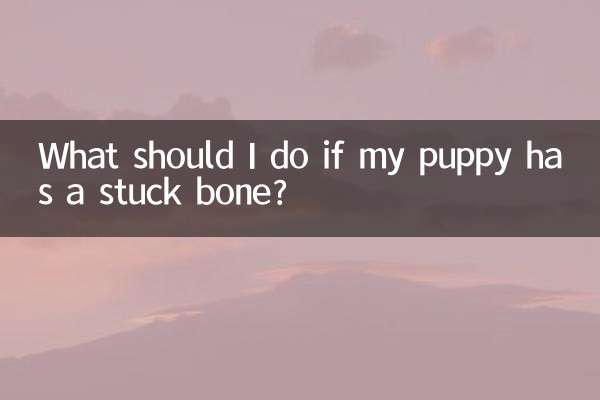 Что делать, если у моего щенка застряла кость?