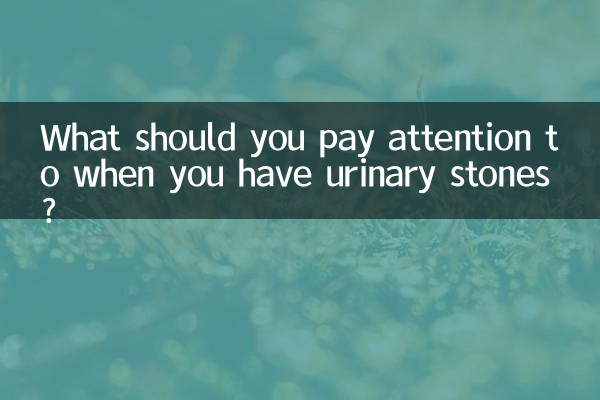 Was ist bei Harnsteinen zu beachten?