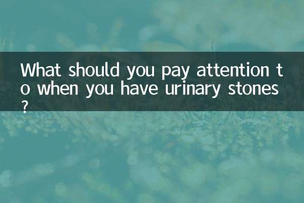 Was ist bei Harnsteinen zu beachten?