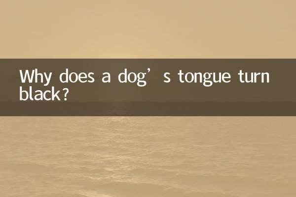 狗狗舌头发黑怎么回事