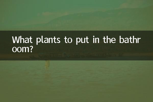 ¿Qué plantas poner en el baño?