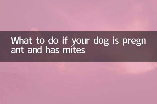 আপনার কুকুর গর্ভবতী হলে এবং মাইট থাকলে কি করবেন