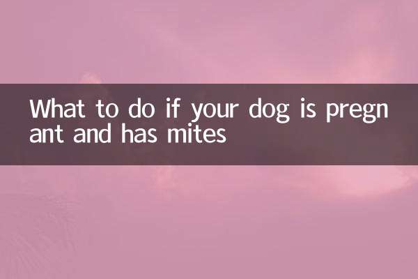 Cosa fare se la vostra cagnolina è incinta e ha gli acari?