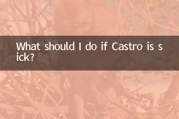 卡斯罗生病怎么办