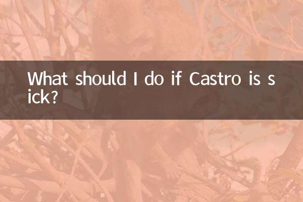 卡斯罗生病怎么办