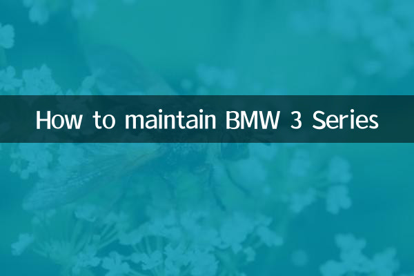 How to maintain BMW 3 Series