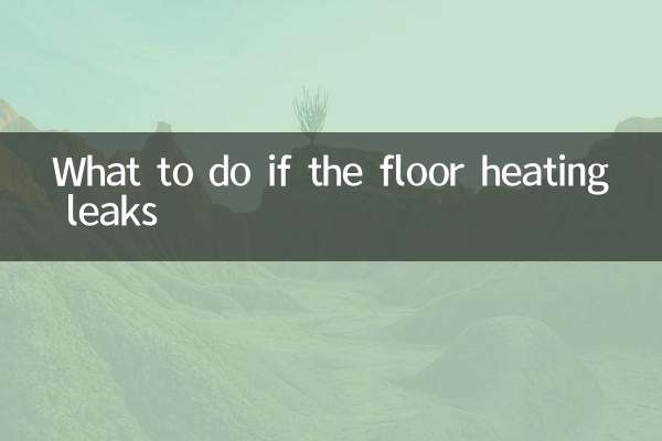 床暖房から水漏れした場合の対処法