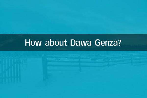 达瓦更扎怎么样