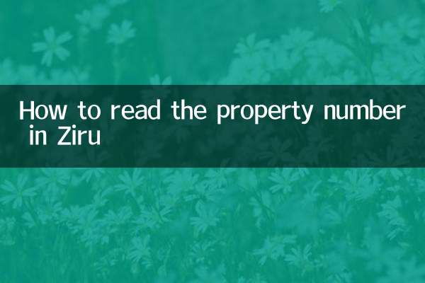 How to read the property number in Ziru
