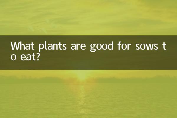 ¿Qué plantas son buenas para que coman las cerdas?