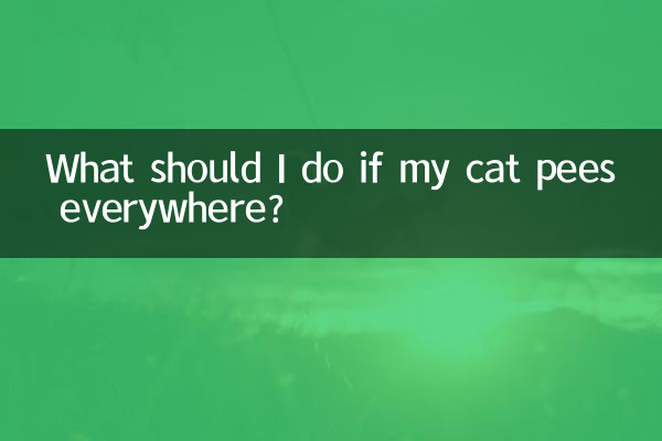 اگر میری بلی ہر جگہ پیش کرتی ہے تو مجھے کیا کرنا چاہئے؟