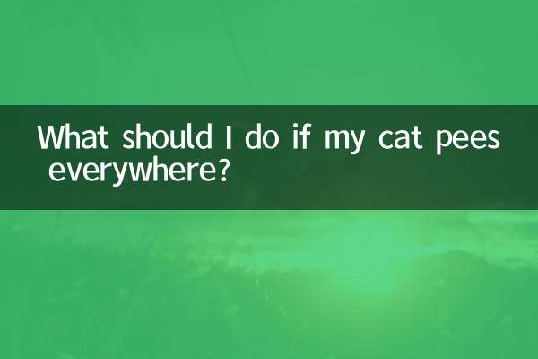 貓咪到處亂尿怎麼辦