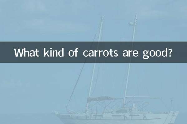 ¿Qué tipo de zanahorias son buenas?