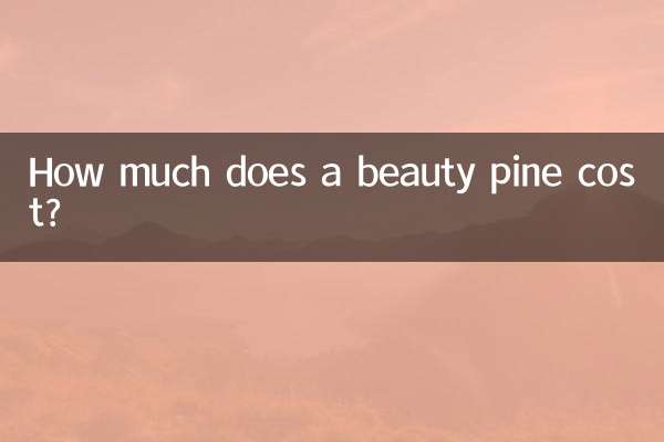 뷰티 파인 가격은 얼마인가요?