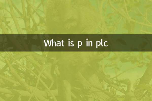 plc中p是什麼