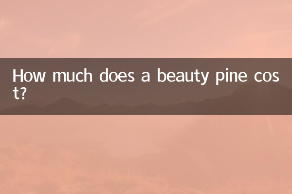 뷰티 파인 가격은 얼마인가요?