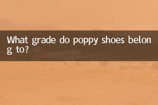 ¿A qué grado pertenecen los zapatos de amapola?