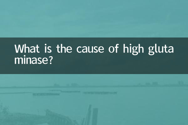 উচ্চ গ্লুটামিনেজের কারণ কী?